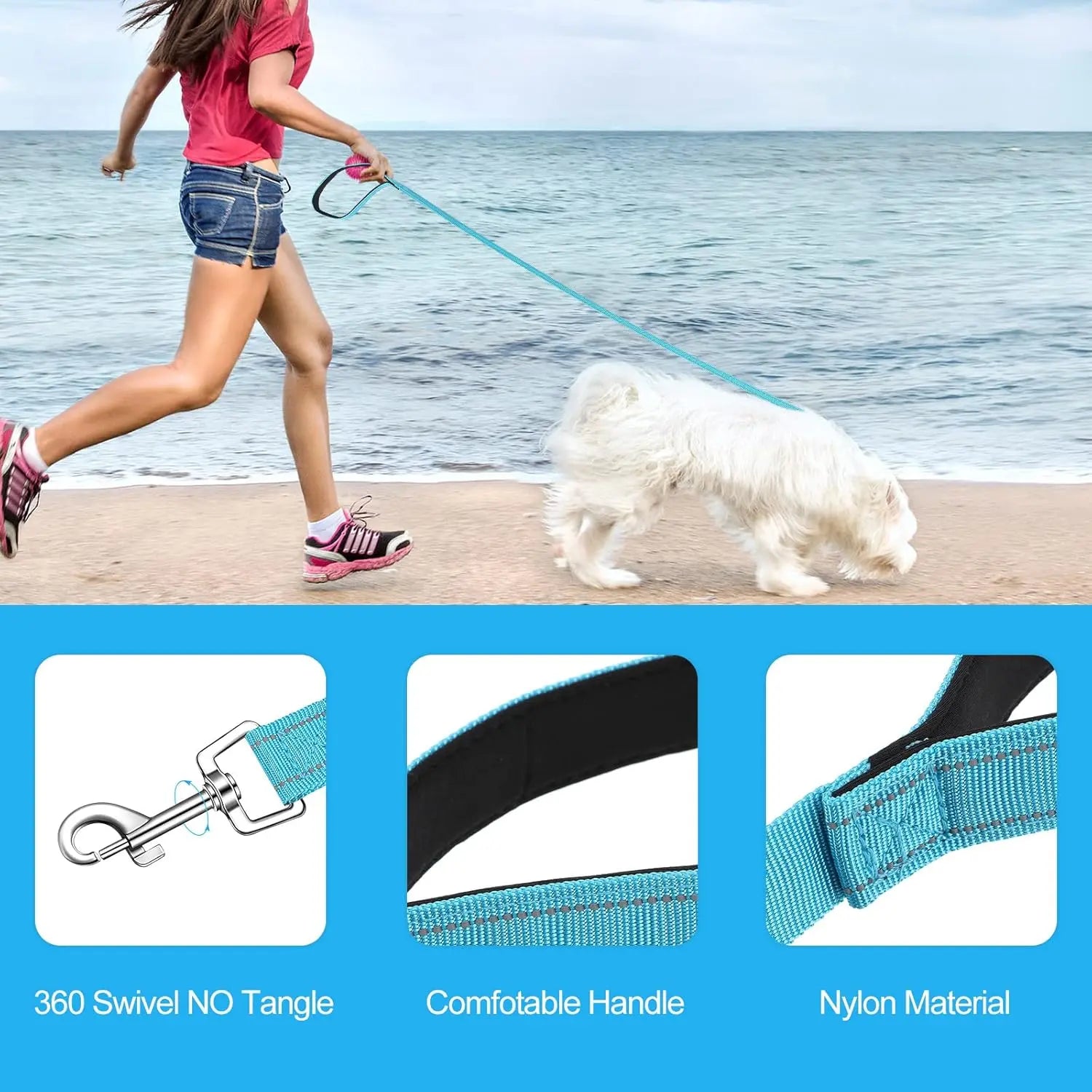 12 Pack Dog Leash Bulk, Double Sided Reflective, Nylon Leashes with Padded Handle for Small, Medium, and Large Dogs, 5 Feet Long, Puppy Walking Training Wholesale Hub
