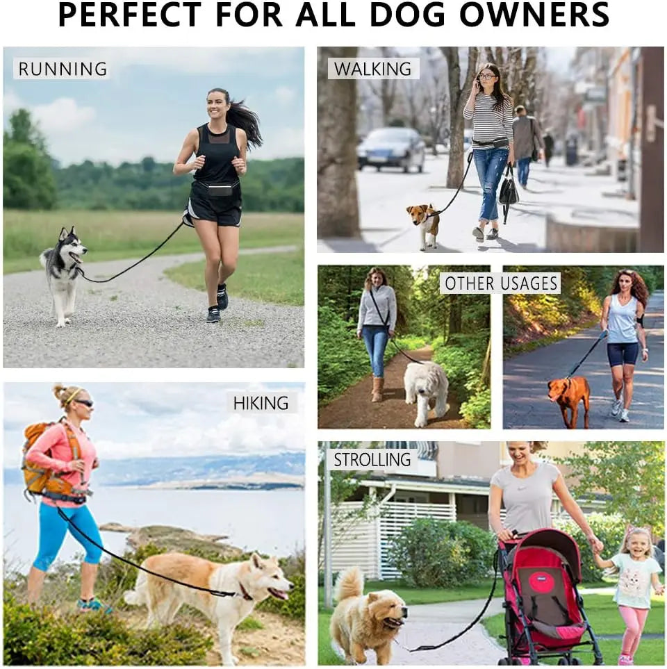 Hands Free Dog Leash for Running Walking Training Hiking, Dual-Handle Reflective Bungee, Poop Bag Dispenser Pouch, Adjustable Waist Belt, Shock Absorbing, Ideal for Medium to Large Dogs (Black W Pink) Wholesale Hub
