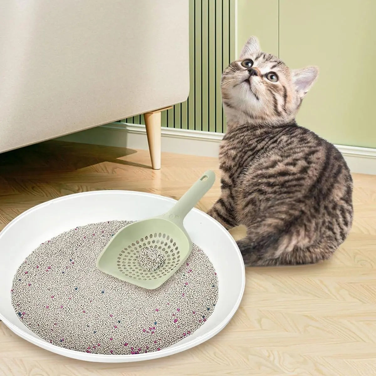 Cat Litter Scoop, Kitten Pooper Lifter, Non Stick Sifter Poop Cleaner Corner Shovel,Cat Feces Scoop, Cat Cleaning Supplies, A Variety Of Colors Available, Durable And Reliable (B) Wholesale Hub