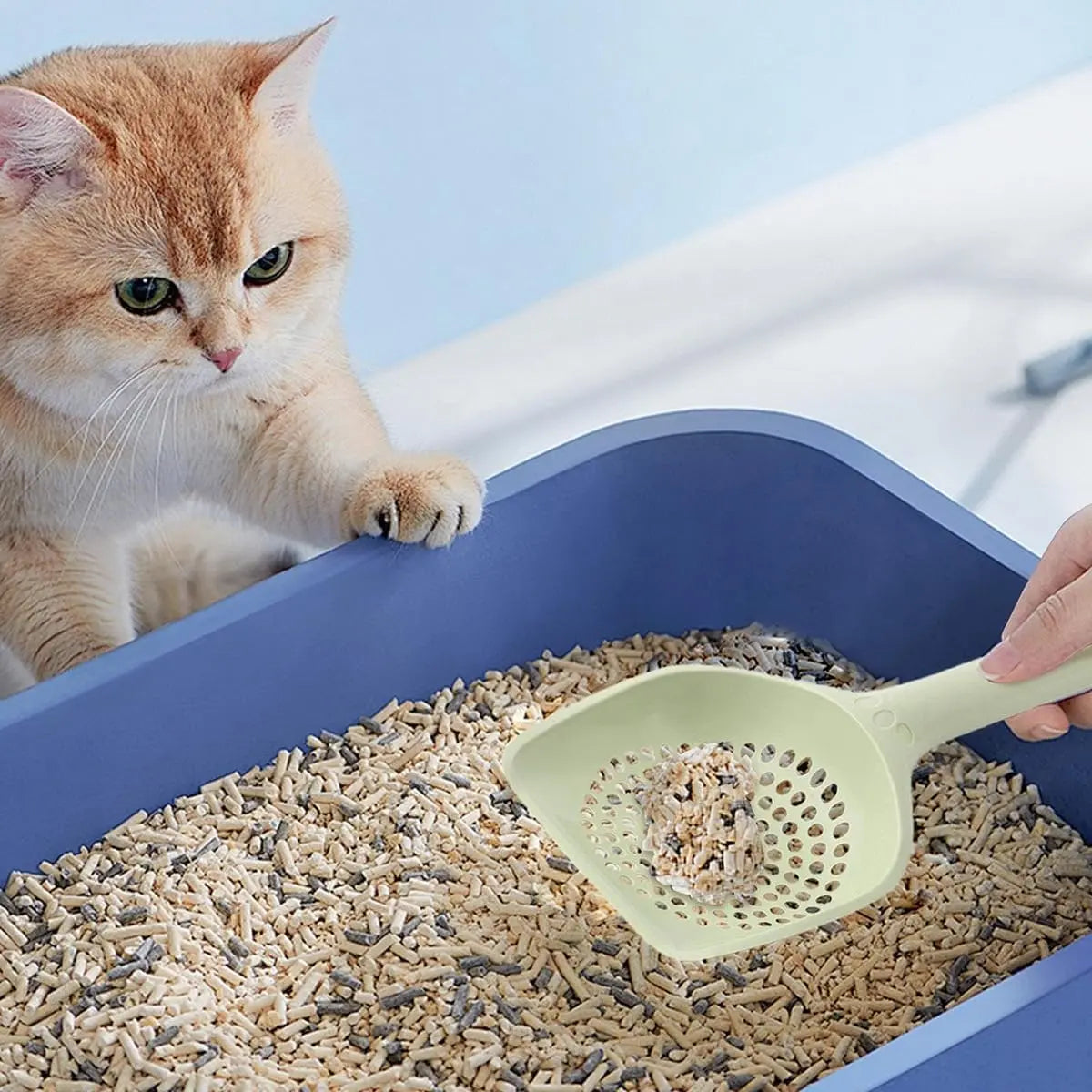 Cat Litter Scoop, Kitten Pooper Lifter, Non Stick Sifter Poop Cleaner Corner Shovel,Cat Feces Scoop, Cat Cleaning Supplies, A Variety Of Colors Available, Durable And Reliable (B) Wholesale Hub