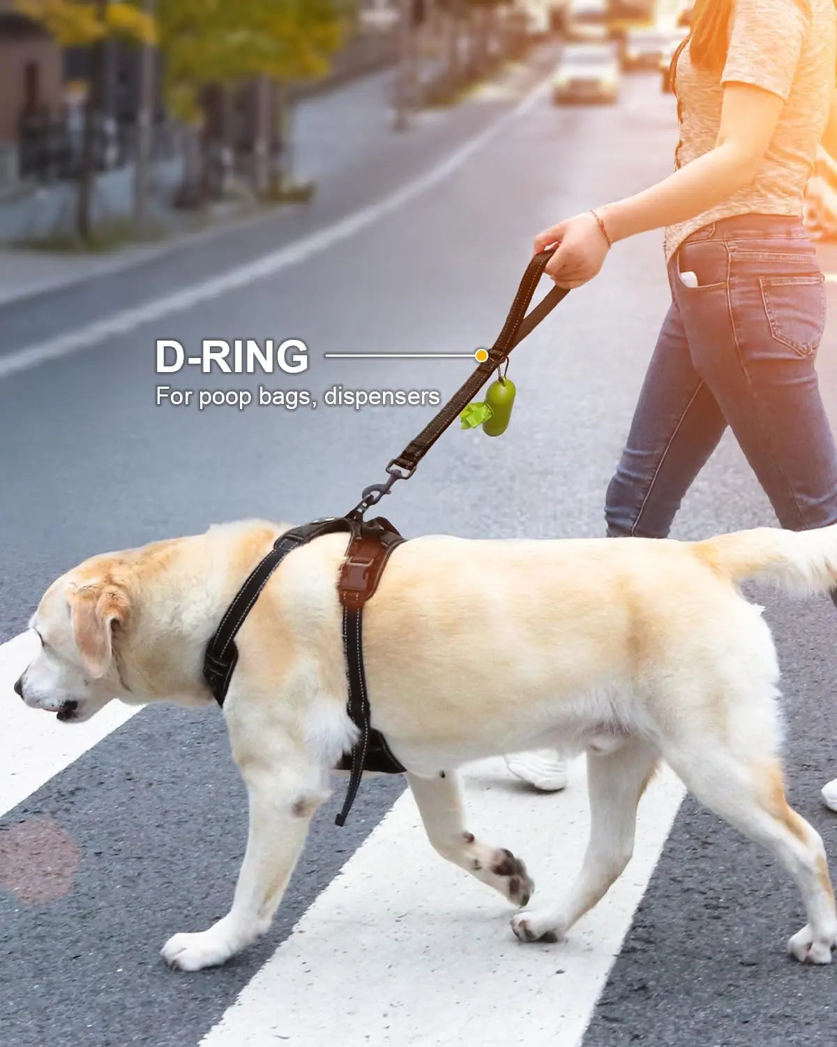 Strong Short Dog Leash 18 Inch, 1.2 Inch Wide, Heavy Duty, Padded Handle for Traffic Control, Reflective Medium and Large Dogs Walking Training, Black 1.5 ft Wholesale Hub