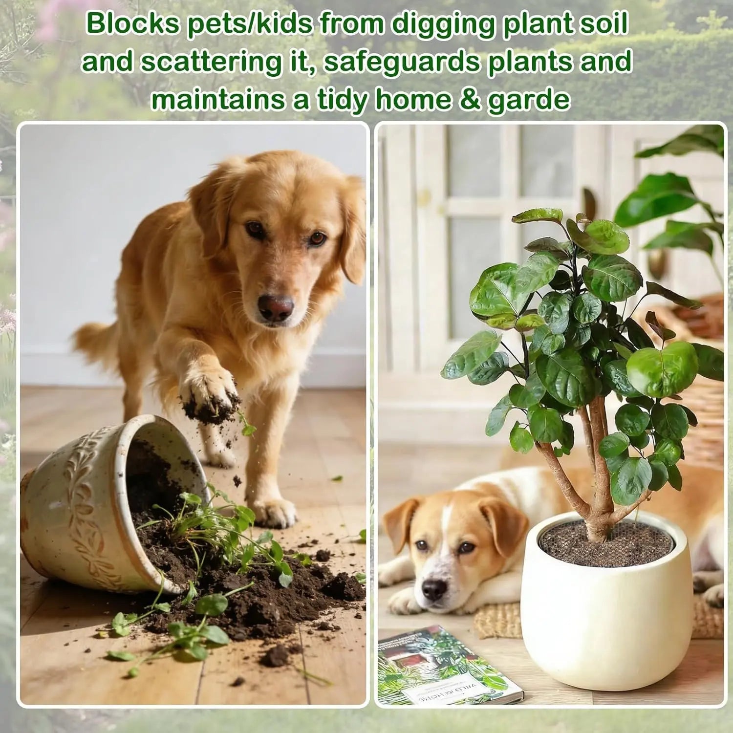 Plant Pot Cover Soil Blocker Mesh Mat Plant Protector from Cats Indoor Animals Flexible Cuttable Plant Covers with Pins Breathable Garden Plant Cover for Digging Spills 6 Pack 30cm Wholesale Hub