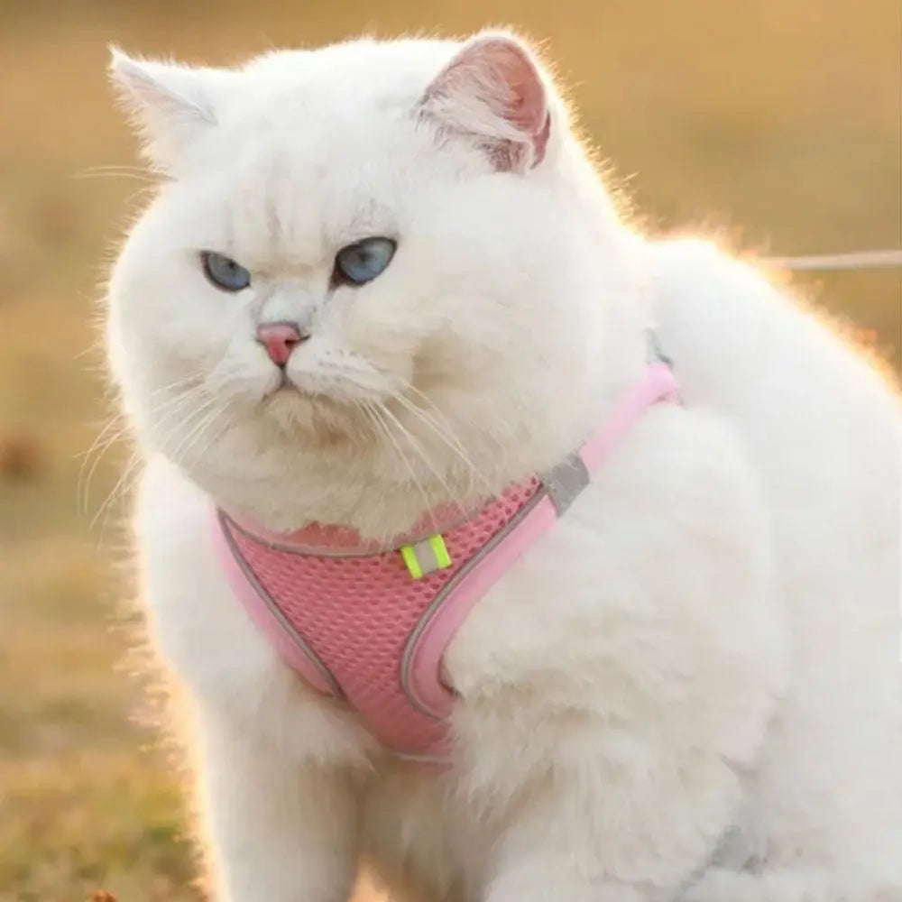 Pet Cat Harness and Leash Set Breathable Vest with Reflective Strip for Kitten Walking Traveling Pink Wholesale Hub