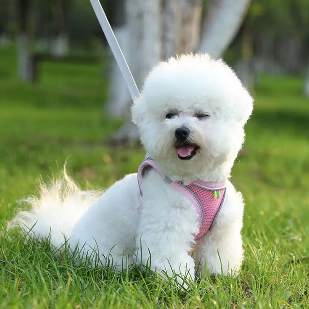 Pet Cat Harness and Leash Set Breathable Vest with Reflective Strip for Kitten Walking Traveling Pink Wholesale Hub