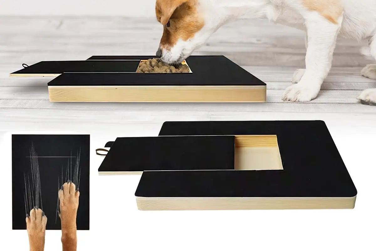 Dog Scratch Pad for Nails Scratching Board with Treat Box Wholesale Hub