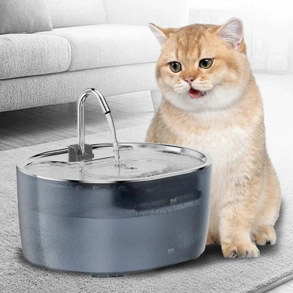 3.2L Pet Automatic Water Fountain Dog Cat Auto Water Dispenser Wholesale Hub