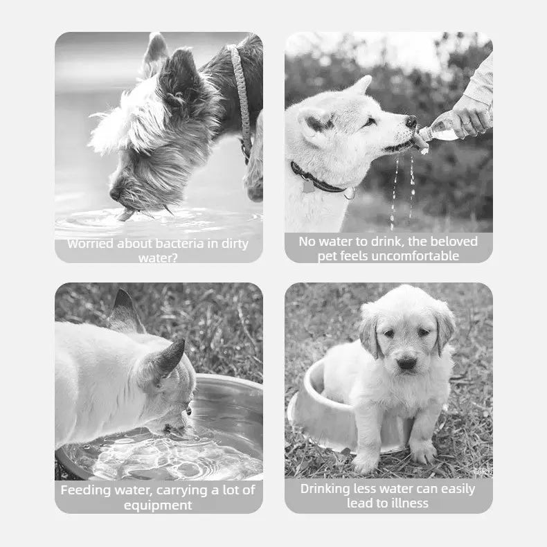 350ML Portable Outdoor Pet Water Cup, Leak-Proof Travel Water Dispenser - White Wholesale Hub