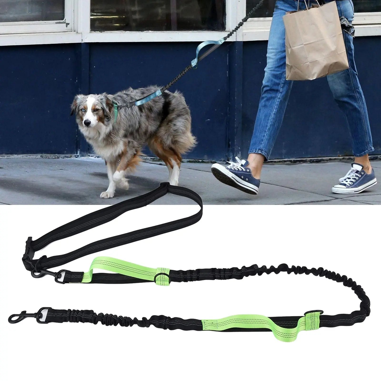 Pet Leash Reflective Retractable Portable Adjustable Dog Traction Rope for Pets Dogs Green Wholesale Hub