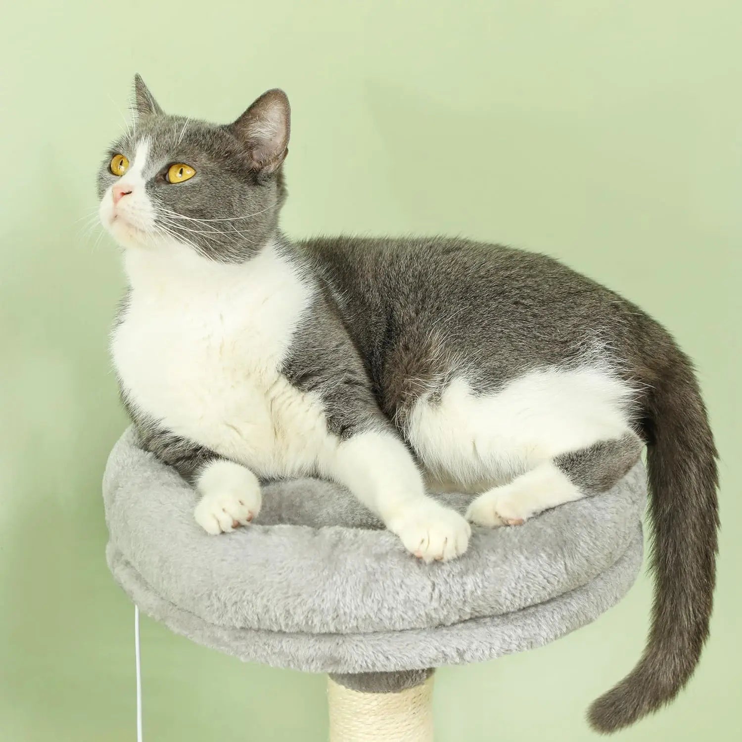 CARLA HOME Large Cat Tree Tower for Indoor Cats with Plush Perch, Cat Condo, Natural Sisal Scratching Posts, Hanging Ball & Paw Scratcher Wholesale Hub