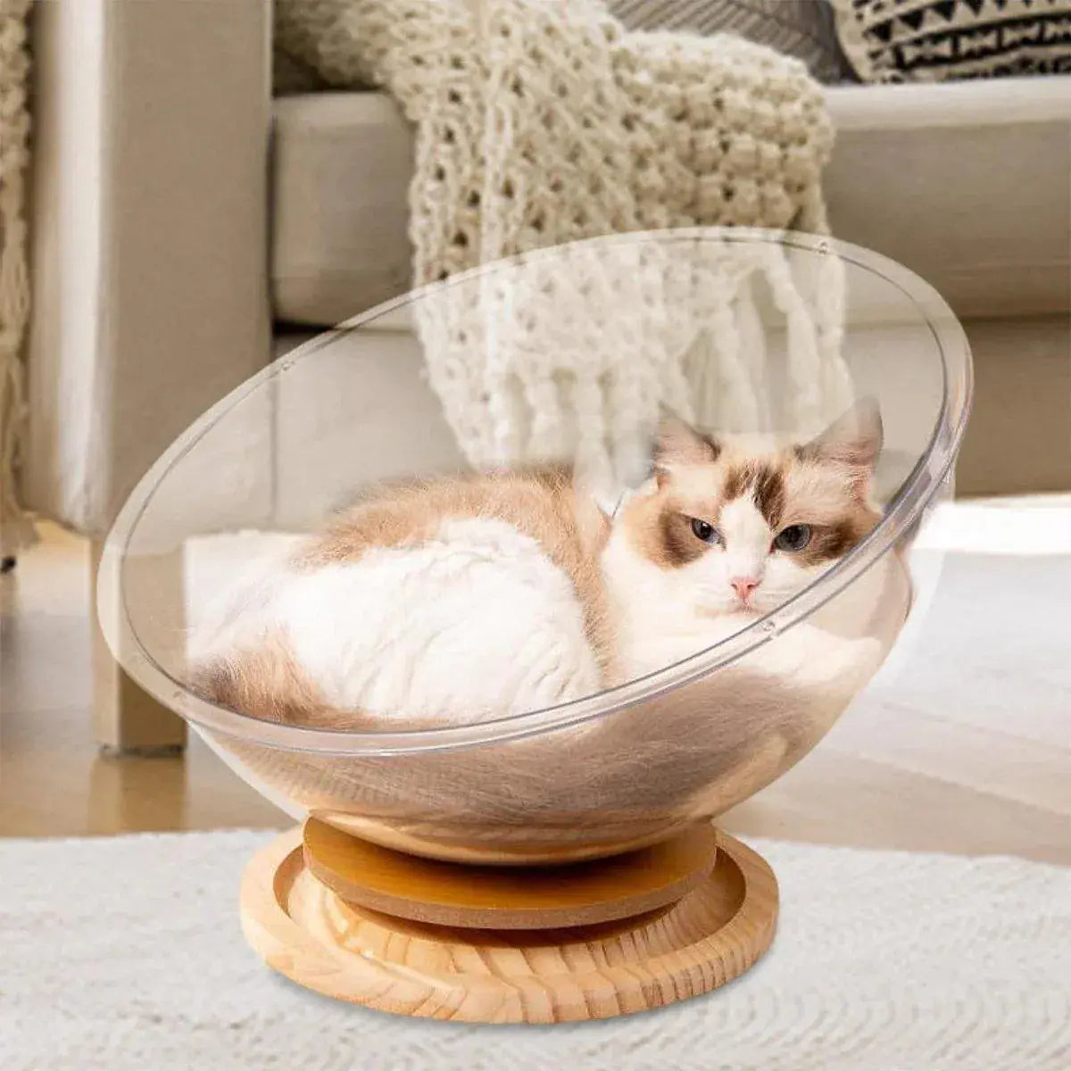 Four Seasons Acrylic Space Capsule Cat Bed Semi-closed Cool Nest Turntable Toy - L Wholesale Hub