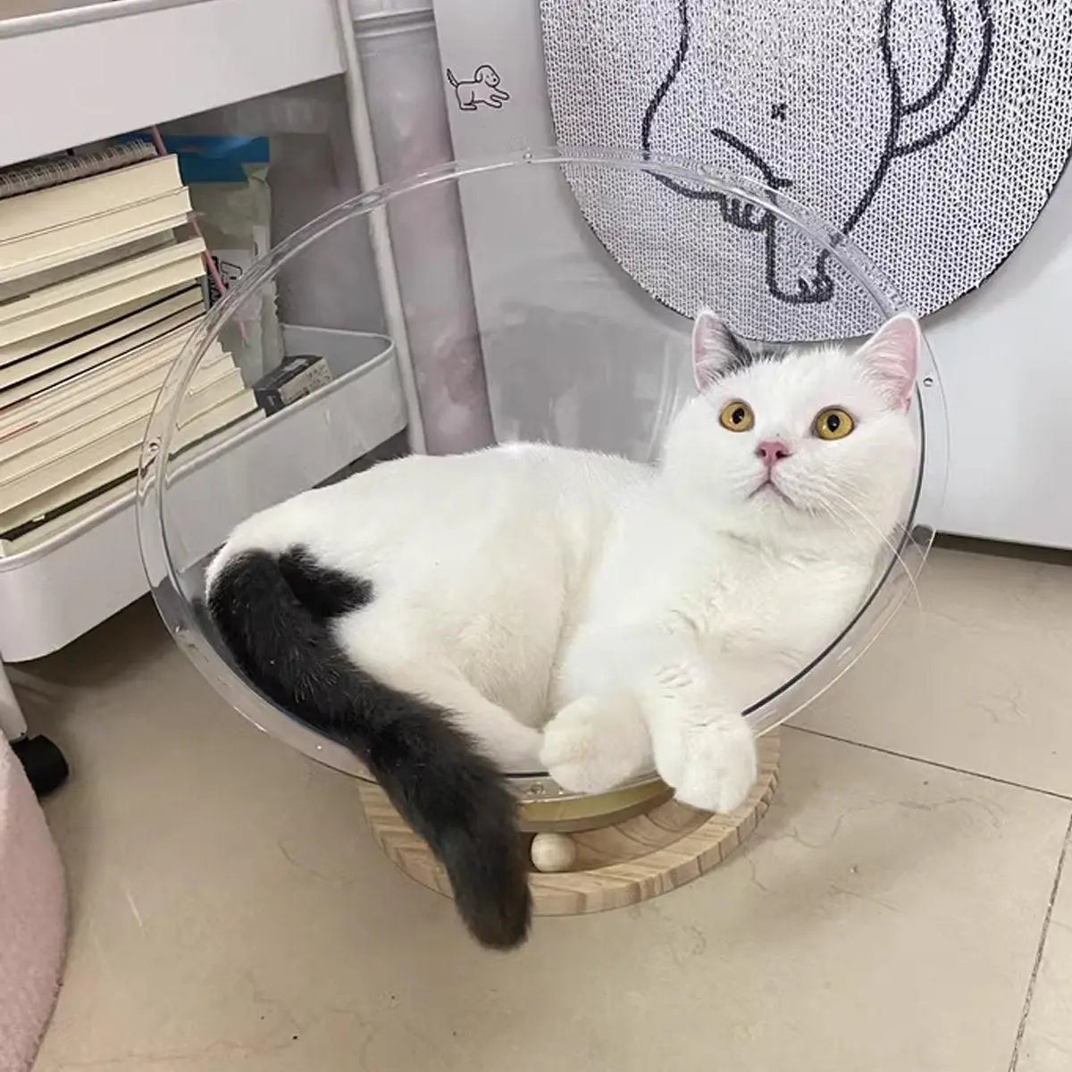 Four Seasons Acrylic Space Capsule Cat Bed Semi-closed Cool Nest Turntable Toy - XL Wholesale Hub