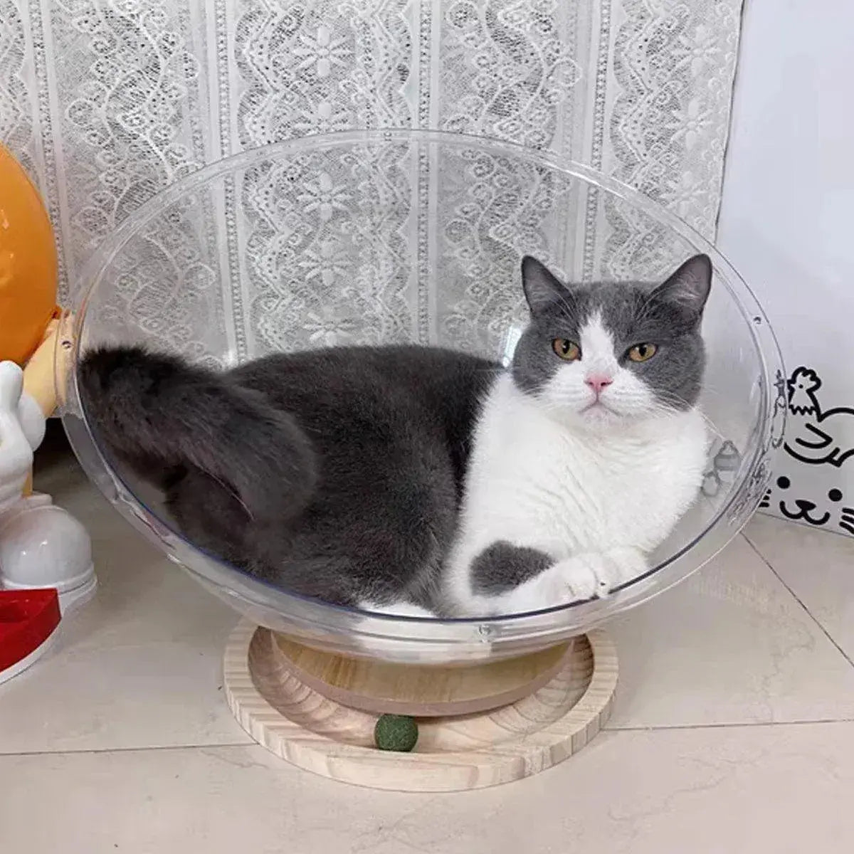 Four Seasons Acrylic Space Capsule Cat Bed Semi-closed Cool Nest Turntable Toy - XL Wholesale Hub
