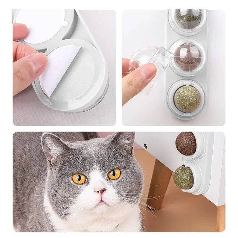 Cat Toy Catnip Ball Lick Solid Nutrition Help Digestion Wall Mount Hair Remover - Pink Wholesale Hub