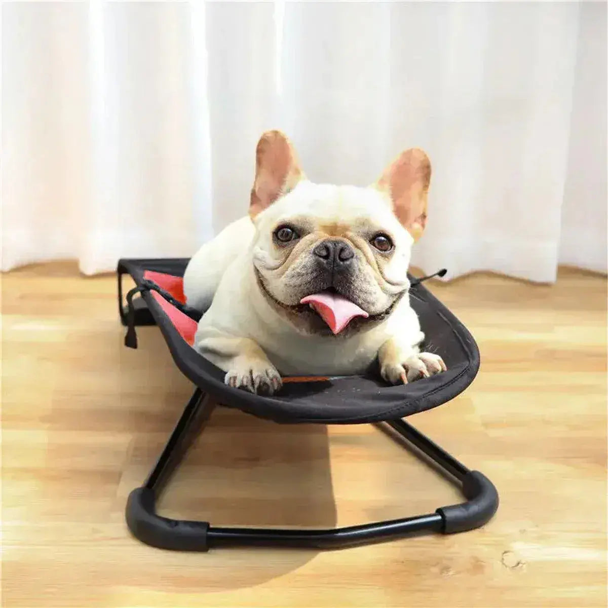 Pet Rocking Chair for Dogs Cats Foldable Pet Bed Portable Sleeping Lounger Chair - Black Wholesale Hub