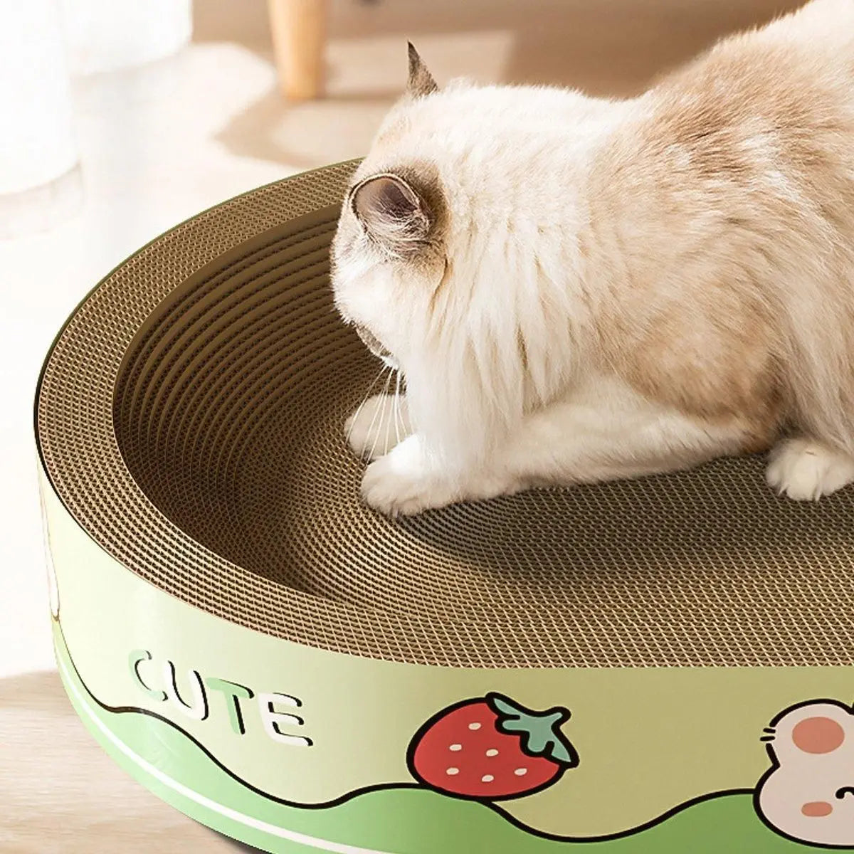 Extra-Large Oval Cat Scratching Board Durable Pet Toy Cat Kittens Wear Resistant - Bear Wholesale Hub