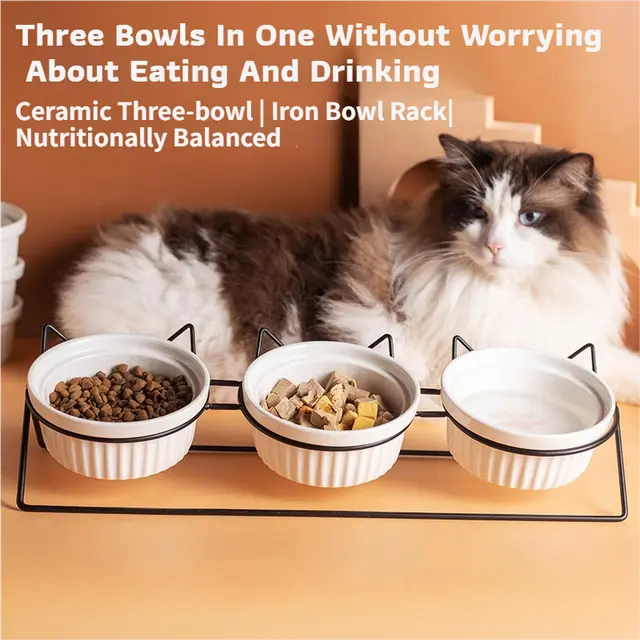 Triple Slanted Ceramic Pet Bowl Set with Elevated Iron Stand and Non Slip Base - 3 x 300ML Versatile Blue Cat Paw Print Pattern Dishes for Water & Food Wholesale Hub