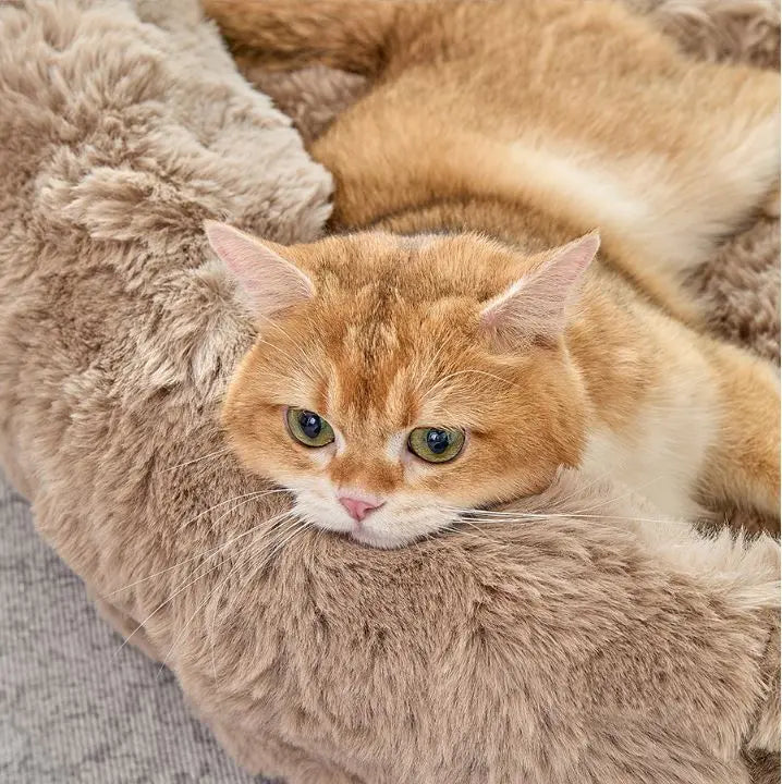 Brown Bubble Plush Pet Sofa Bed with Removable Cushion M Size 70*55*23 cm – Ultra-Soft Winter Thickened Warm Pet Nest with Raised Bolster Edges, Washable Plush Cover and Non-Slip Base, Cozy and Soft Sleeping Space for Dog & Cat Home Use Wholesale Hub